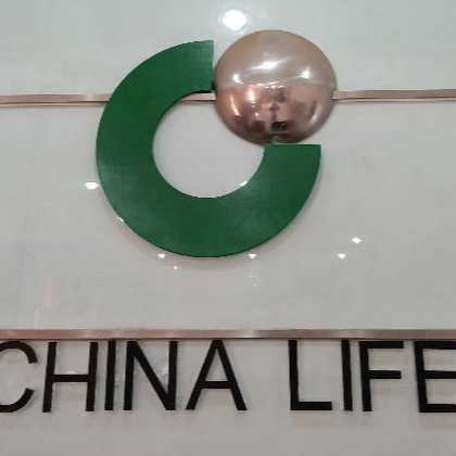 中国人寿保险