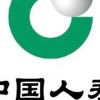 中国人寿保险股份有限公司（狼魂团队）