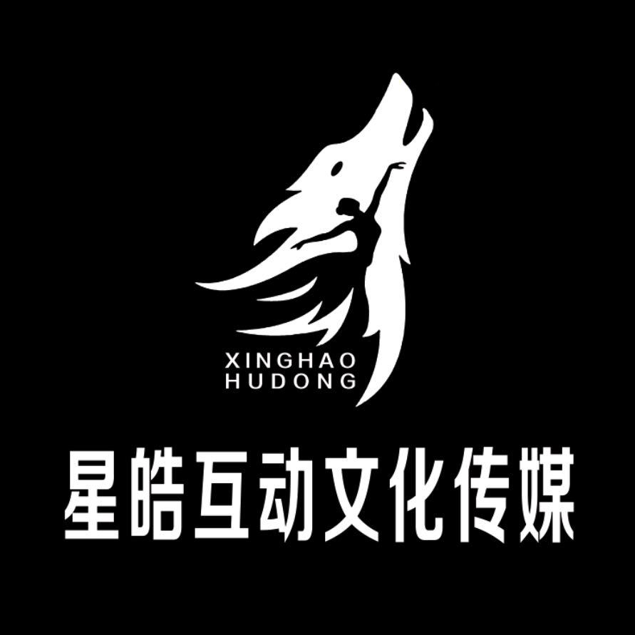 星皓传媒