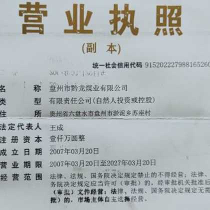 盘州市黔龙煤业有限公司